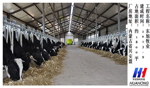 腾博汇游戏官网·(中国)专业服务,诚信为本