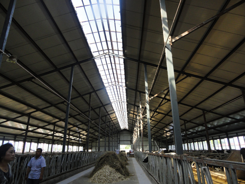 腾博汇游戏官网·(中国)专业服务,诚信为本