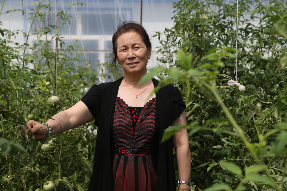 腾博汇游戏官网·(中国)专业服务,诚信为本