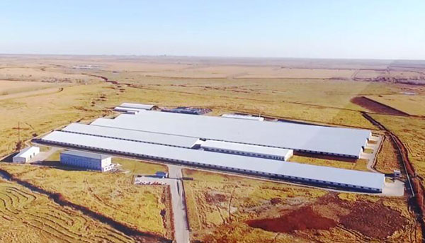 腾博汇游戏官网·(中国)专业服务,诚信为本